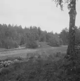 Falun, Vika, Hosjö, Storgården.