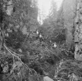 Borlänge, Dragbergsgattu. (Dragbersgatan)