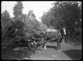 Jan Grs, Berg, Kolbäck.
Ur Gustaf Åhmans samling.