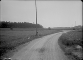 Vägen vid Folkesta, Dingtuna. 
Landsfiskalen i Kolbäck.
Ur Gustaf Åhmans samling.