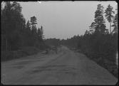 Vägen på Svinskogen. Bromsspår. Landsfiskalen i Kolbäcks distr. Ur Gustaf Åhmans samling.