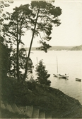 Parti från Gustafsberg.

Stämplad i högra hörnet: Maria Lundbäck Uddevalla. 1912.