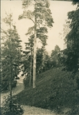 Parti från Strandpromenaden, Gustafsberg, Uddevalla.

Stämplad i vänstra hörnet: Maria Lundbäck Uddevalla.