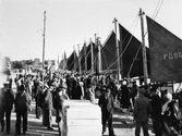 Sillauktion i Falkenbergs hamn 1927. Fullt av folk på kajen där fiskeskutorna ligger i rad med hissade segel.