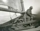 Casper i segelbåten