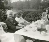 Saft i trädgårdsmöbler vid sjön