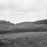 Borlänge, Torsång, Skålmyra, 1921-1926.