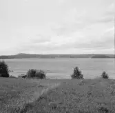 Borlänge, Torsång. Ösjön från Viken 1921-1926.