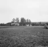 Borlänge, Torsång, Viksnäs 1921-1926.