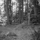 Borlänge, Torsång, Lindön i Ösjön 1921-1926.