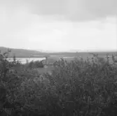 Borlänge, Torsång, Sunnanö från Lidmans 1921-1926.