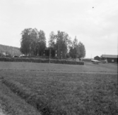 Borlänge, Torsång, Milsbo. Stennors flygel 1926.