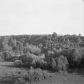 Borlänge, Stora Tuna. Frostbrunnsdalen.

