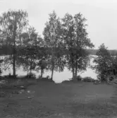 Falun, Vika, Hosjö, Stenverket.