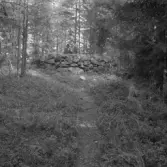 Falun, Sundborn, Rupstjärn. Gamla råröset mellan Svärdsjö och Sundborn.