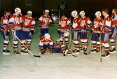 Lagfotografi av IF Mölndal Hockey i Mölndals ishall i Åby, Mölndal, år 1986.