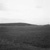 Säter, Gustafs, Åsen. Rösåsen i bakgrunden.