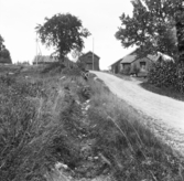 Gisselbo, Grytnäs 1929. Anders Jöns J. mitten Jan Ers. sädeshärbre.