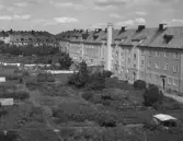 Konsistoriegatan i Linköping