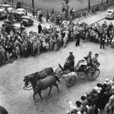 Barnens dag med häst och vagn år 1954.