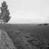 Borlänge, slätten med utsikt från Uvberget.