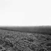 Borlänge, Slätten och kyrkan från Nygårdarna.