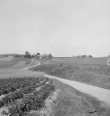 Borlänge, Tolsbo från Grevbo.