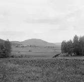 Borlänge, Gimsbärke och Gimklack.