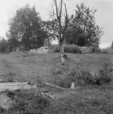 Borlänge, Noraån med grunder efter gamla bruksherrgården.