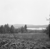 Borlänge, Torsång, utsikt från Sandvik 1921-1926.