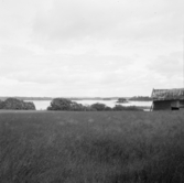 Borlänge, Torsång, Storsten. 1926.