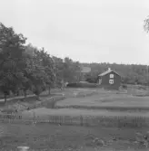 Falun, Vika, Hosjö, Busktäkt.