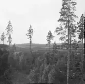 Falun, Vika, Hosjö, Kalvsbäcken. Dalen vid Nyhyttan 1926.