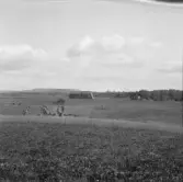 Säter, Gustafs, Bodarna, liten utgård. Övre Abbens fäbod.