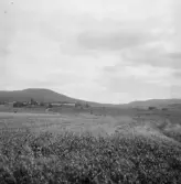 Borlänge, Finngården i bakgrunden, Solklinten.
