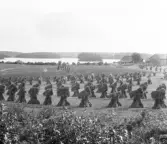 Avesta, Knutsbo. Utsikt över Nävden framför Jönses Havresåkrar 1929.