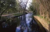 Svartån flyter förbi Slottsparken i Örebro, 1989