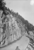 Vägen vid Bergsviken, Lugnvik.