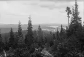 Vy över Backe och Fjällsjöälven. 