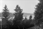 Nordingrå. Gaviksfjärden?