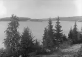 Vy över Lugnvik med Hallstanäs sågverk. 