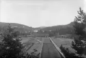 Vy över Ramsele.
