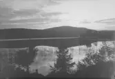 Skog. Storsjön?