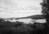 Skog. Storsjön? 