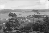 Vy över Nyland och Ångermanälven.