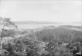 Vy över Nyland och Ångermanälven.