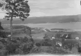 Vy över Ångermanälven vid Nyland.