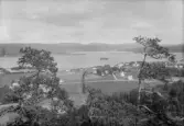 Vy över Ångermanälven vid Nyland.