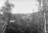 Ångermanälven vid Näsåker.