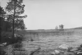 Ångermanälven vid Näsåker.